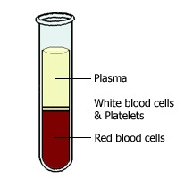 PRP vs PRF