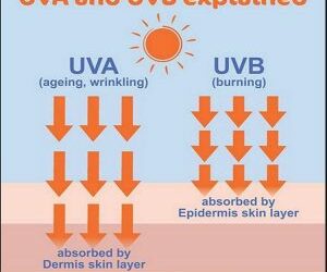 Mineral Sunscreen vs Chemical Sunscreen, Which is Better?