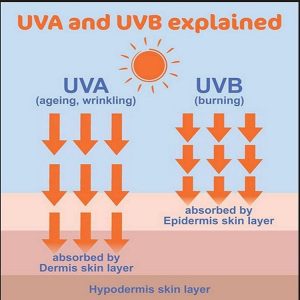 Mineral Sunscreen vs Chemical Sunscreen, Which is Better?